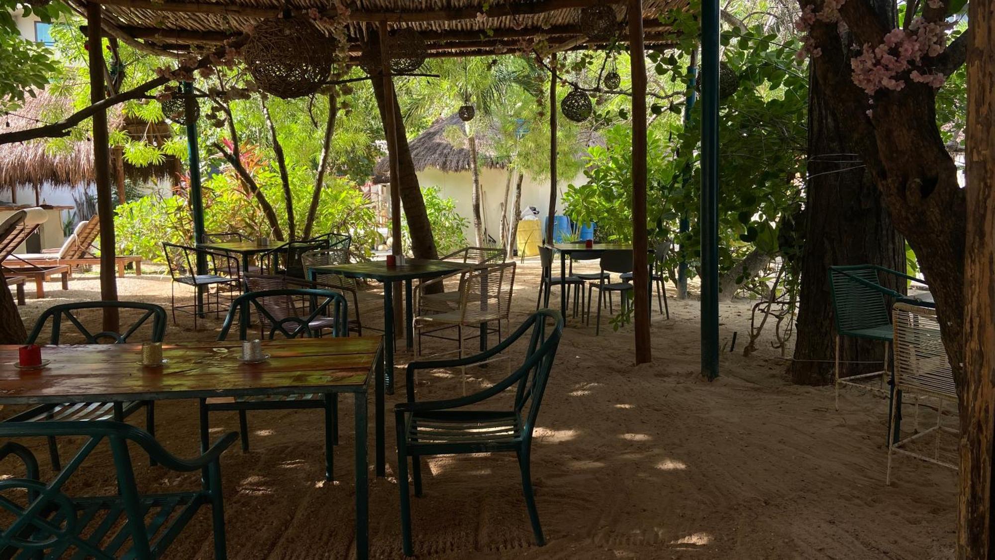 Nature Stay (Adults Only) بلايا ديل كارمن المظهر الخارجي الصورة