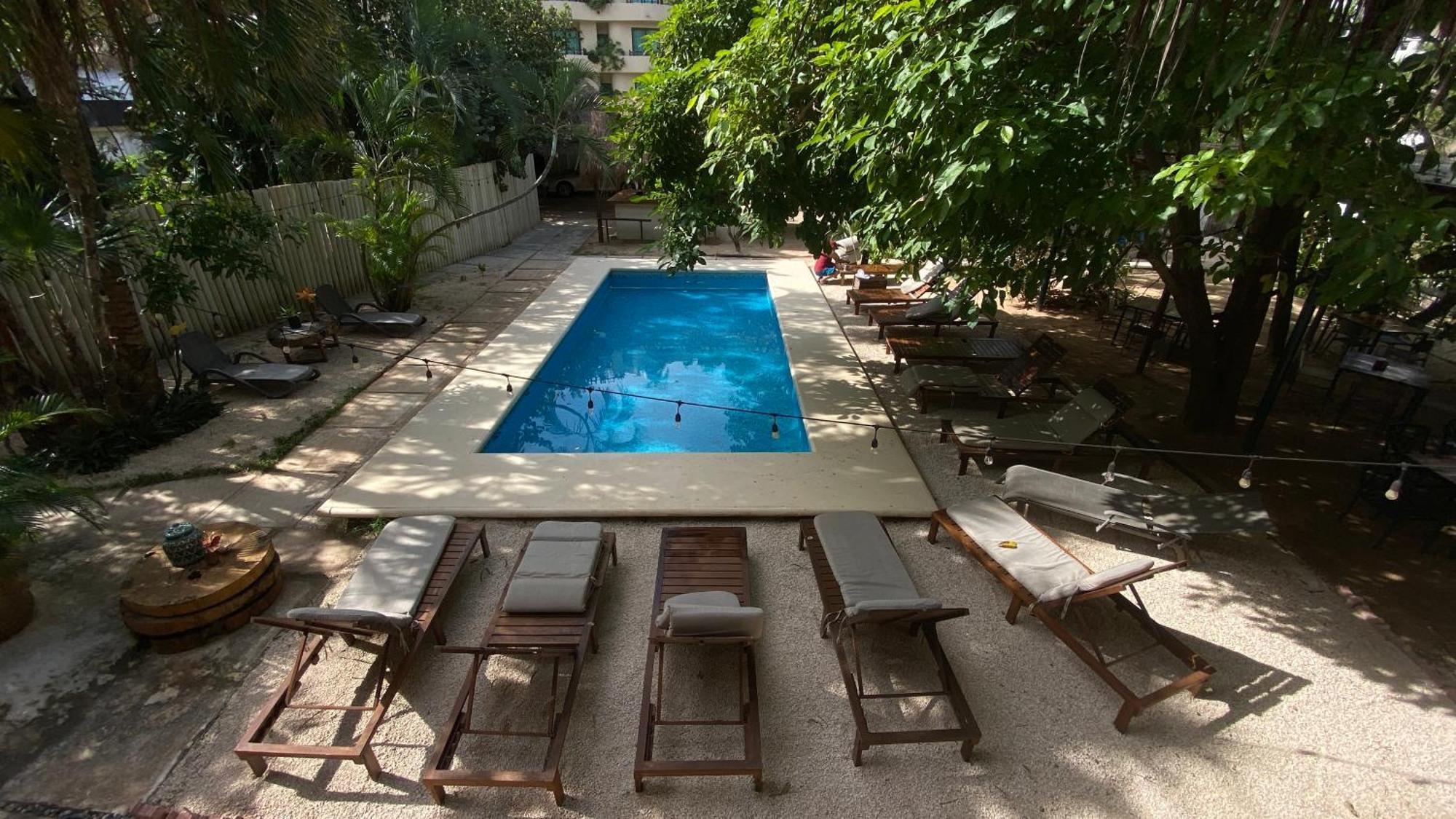 Nature Stay (Adults Only) بلايا ديل كارمن المظهر الخارجي الصورة