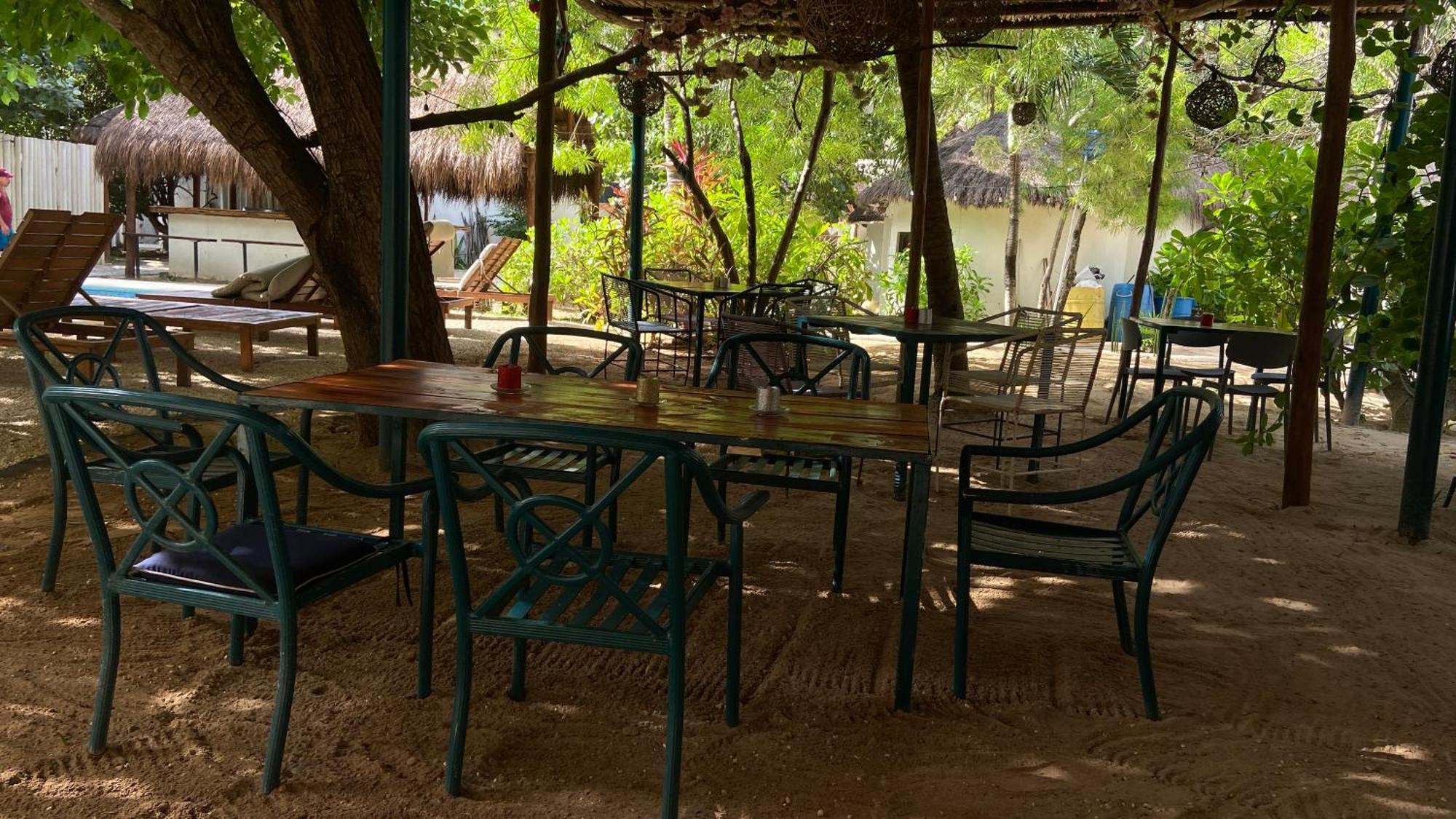Nature Stay (Adults Only) بلايا ديل كارمن المظهر الخارجي الصورة
