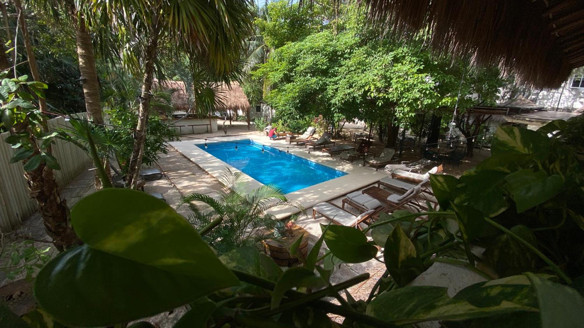 Nature Stay (Adults Only) بلايا ديل كارمن المظهر الخارجي الصورة