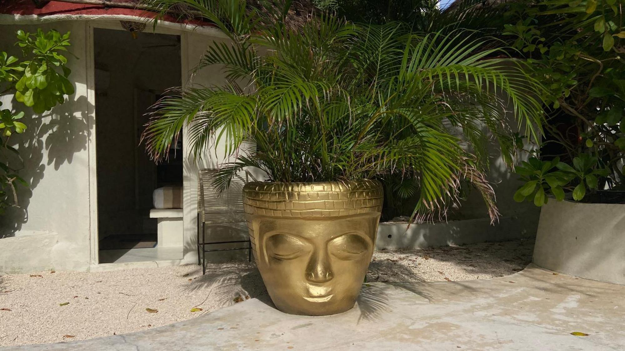 Nature Stay (Adults Only) بلايا ديل كارمن المظهر الخارجي الصورة